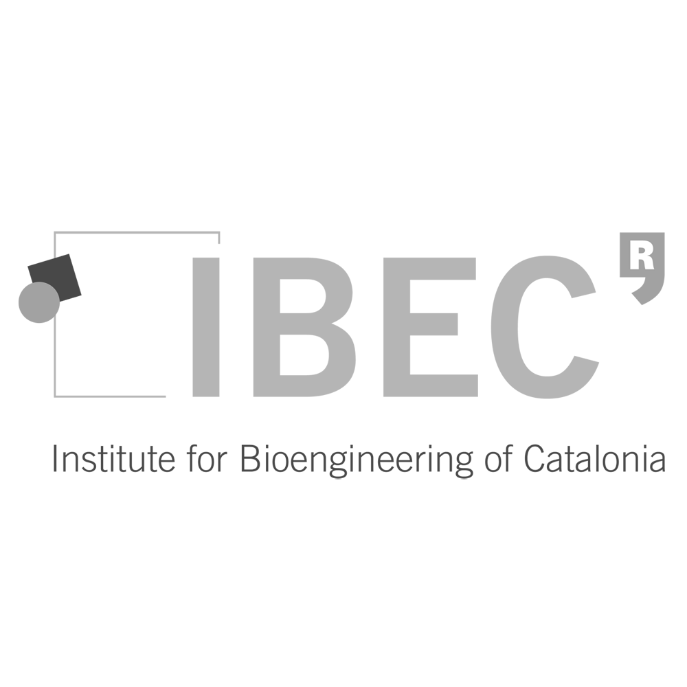 IBEC
